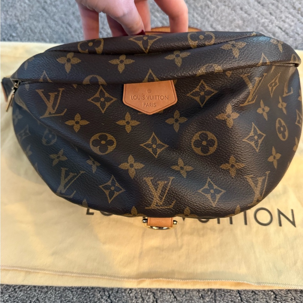Louis Vuitton BumBag - Picture 2 of 10